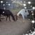 Eddy N Judy Zwart's profile image