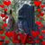 Nancy Avey's profile image