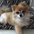 Carmen Rodriguez's profile image