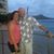 Melissa Jarrell's profile image