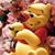 Kitty Diwakar's profile image