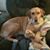 Carol Nelson Heintz's profile image