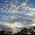 Lesley Martin Simpson's profile image