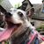 Kimberlyann Smith's profile image