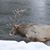 Tracy Haworth Ayers's profile image