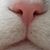 Pat Byrd's profile image