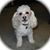 Debbie Heyder's profile image