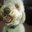 Nora Sneberger's profile image