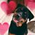 Sharon Saballos's profile image