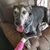 Wendy Maples's profile image