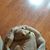 Shawn Volbert's profile image