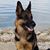 Jami Cavana- Briede's profile image