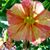 Carol Anderson's profile image