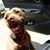 Debbie Coward's profile image