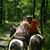 Elaine Graybill's profile image