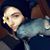 Moxie Wright's profile image