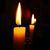 Donna Marie Martin Scheer's profile image