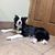 Susie McCosley's profile image