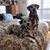 Kasey Iacovelli Brainerd's profile image