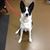 Jenney Pauer's profile image