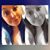 Carly Gore's profile image