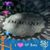 Inger Marie's profile image