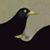 Dottie Lore's profile image