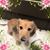 Manuela Wilken Fields's profile image