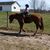 Kelly Thayer's profile image