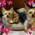Jeanine Moravec's profile image