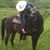 Mandy Stoddard's profile image