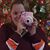 Julia Lewis's profile image