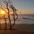 Kelly Decker-Dady's profile image