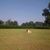 Cheryle Young's profile image