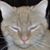 Merrie A. Zima's profile image