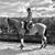 Ruth Haskett's profile image