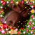 Anita Maria Johansen's profile image