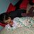 Andrea Vicente's profile image