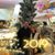 Sharon Gelber Gerardi's profile image