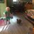Erin Severts-stegina's profile image