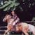 Lisa Krist's profile image