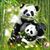 Debbie S Fulton's profile image