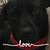 Lily Landis's profile image