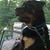 John Walkden's profile image