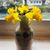 Amy Willerup Benton's profile image