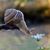 Audra Mcfarland-Werkheiser's profile image