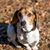 Donna Martin's profile image