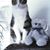 Marianne Noel's profile image