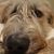Selina Pritchard's profile image