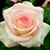 Carol Mitchell's profile image